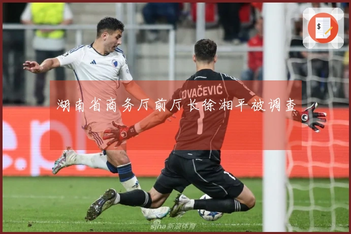 湖南省商务厅前厅长徐湘平被调查