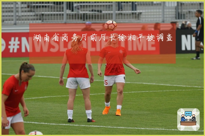 湖南省商务厅前厅长徐湘平被调查