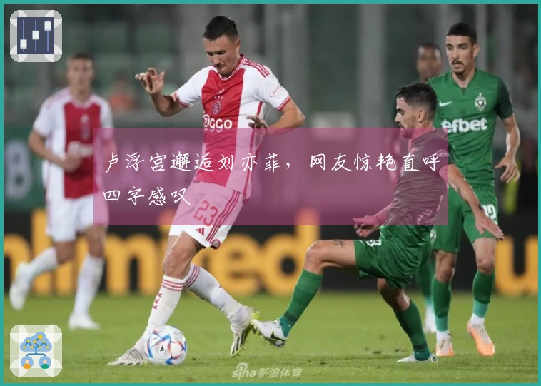 卢浮宫邂逅刘亦菲，网友惊艳直呼四字感叹